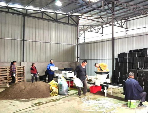 夏之火丨工厂化育秧 机械化插秧 龙泉驿大春播种满满的科技感